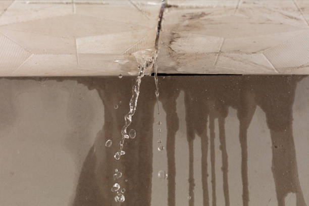 Professional Burst Pipe Cleanup technician working in Llano, TX